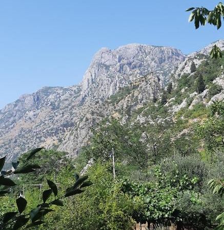 Apartment Sali Kotor Kültér fotó